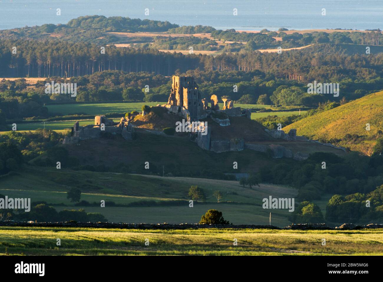 Corfe Castle, Dorset, UK.  29th May 2020.  UK Weather.  The view from Swyre Head of the ruins of Corfe Castle in Dorset illuminated by late afternoon sunshine at the end of a warm sunny day with clear skies with Poole Bay in the distance.  Picture Credit: Graham Hunt/Alamy Live News Stock Photo