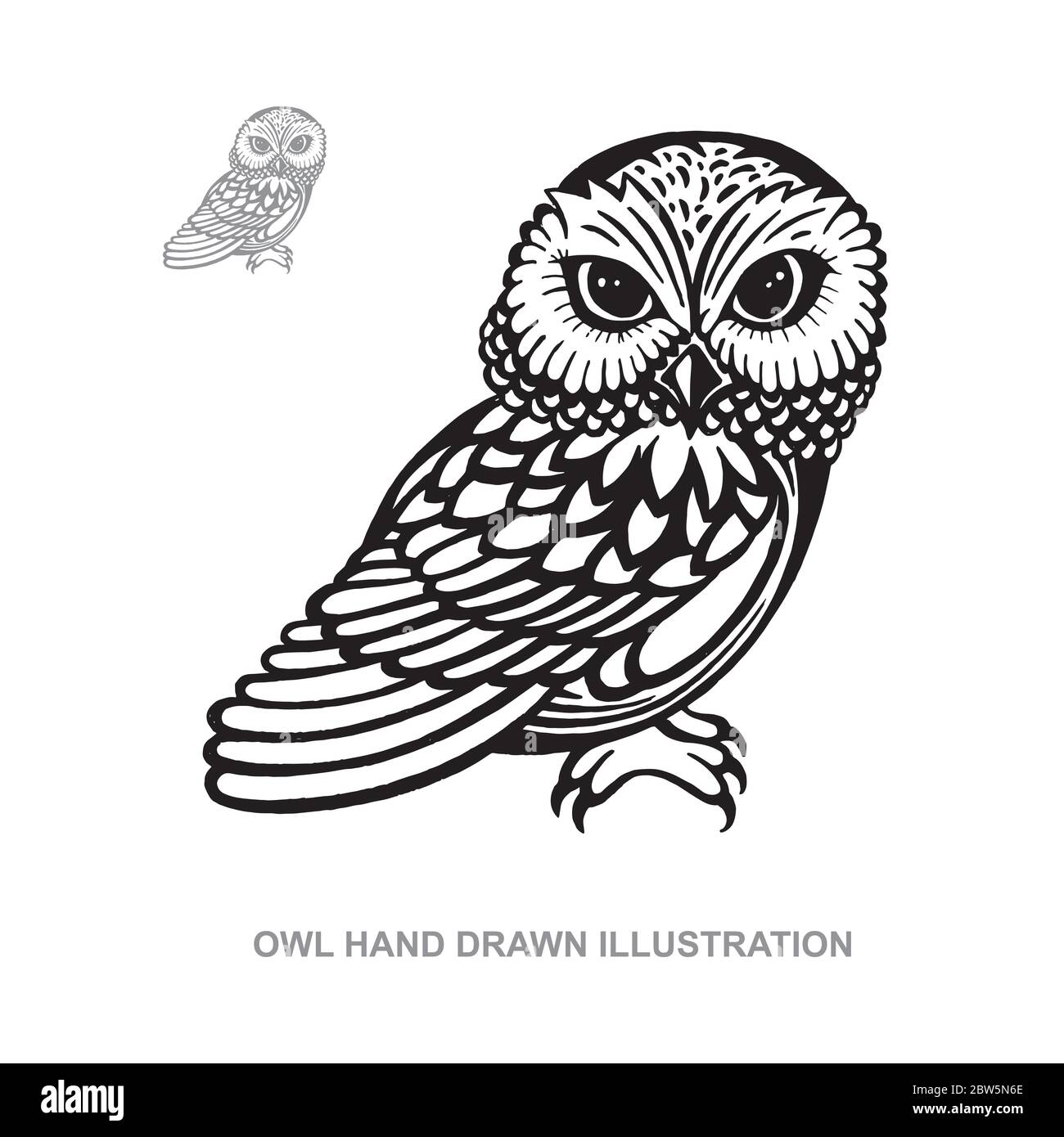 How to Draw a Owl for Children - A Step-by-Step Guide With Pictures