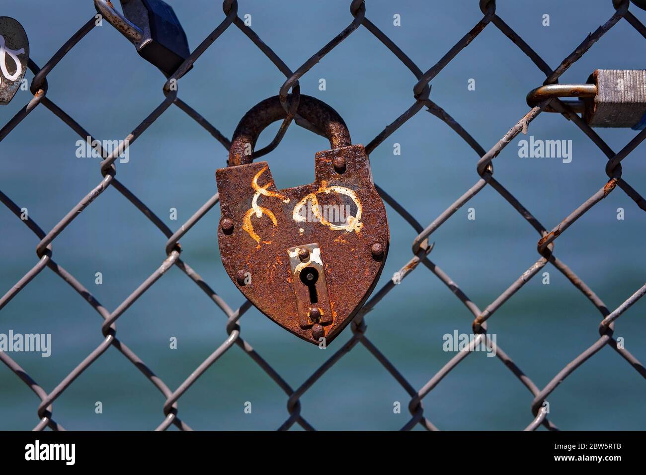 Padlocks on Barbed Wire Fence at Oceanfront in San Francisco