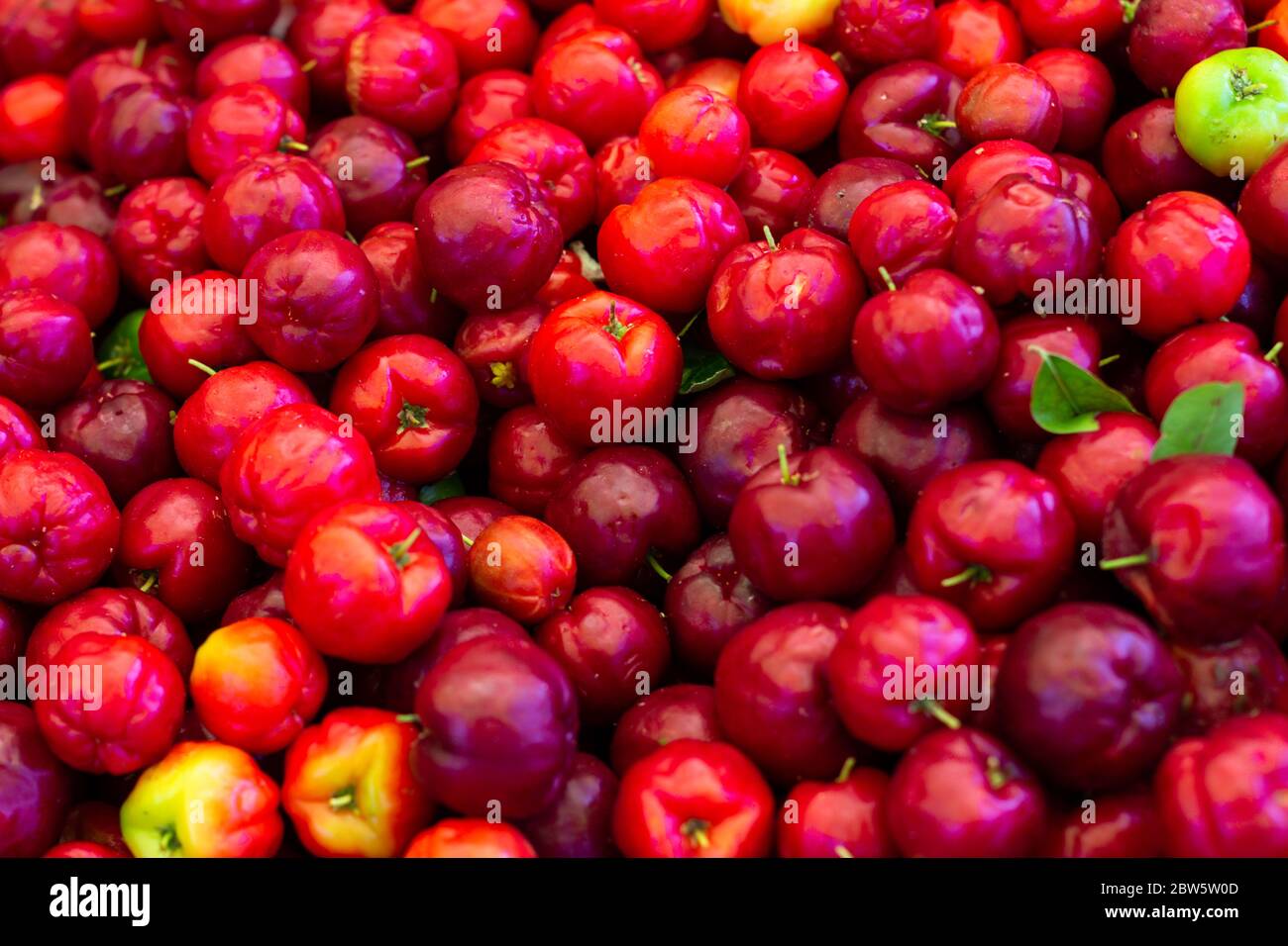 Numerous cherries in the market. Fresh fruits of the tropic. Colorful sweet and sour fruits