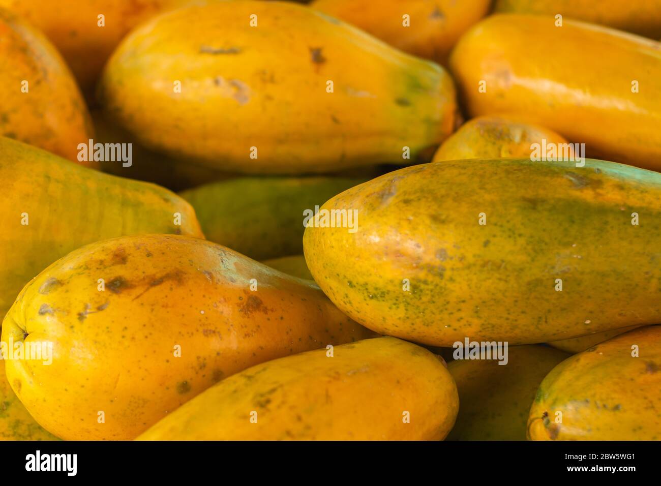 Papaya in the market. Fruit of orange pulp with countless small seeds