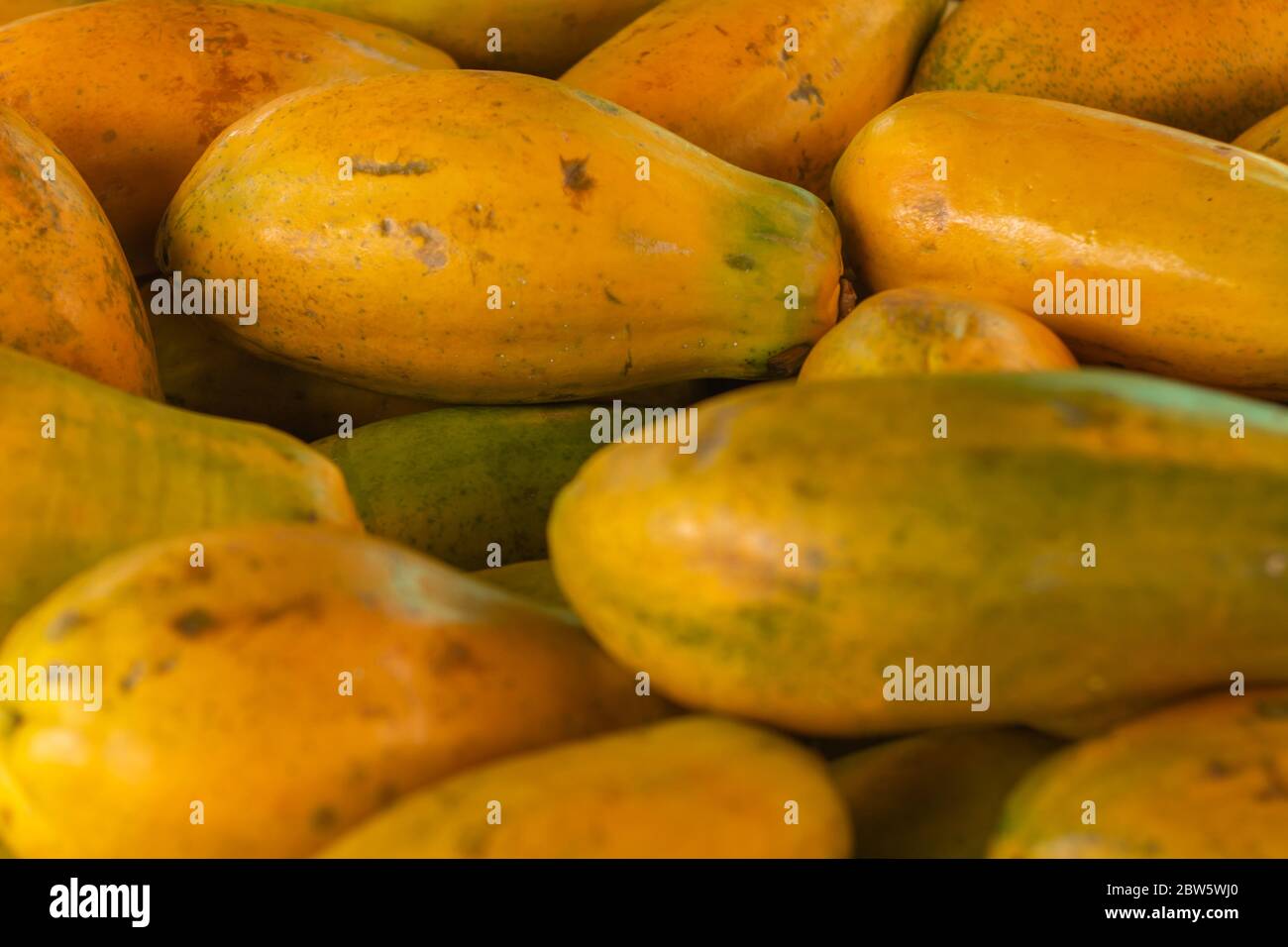 Papaya in the market. Fruit of orange pulp with countless small seeds. Exotic tropical fruit