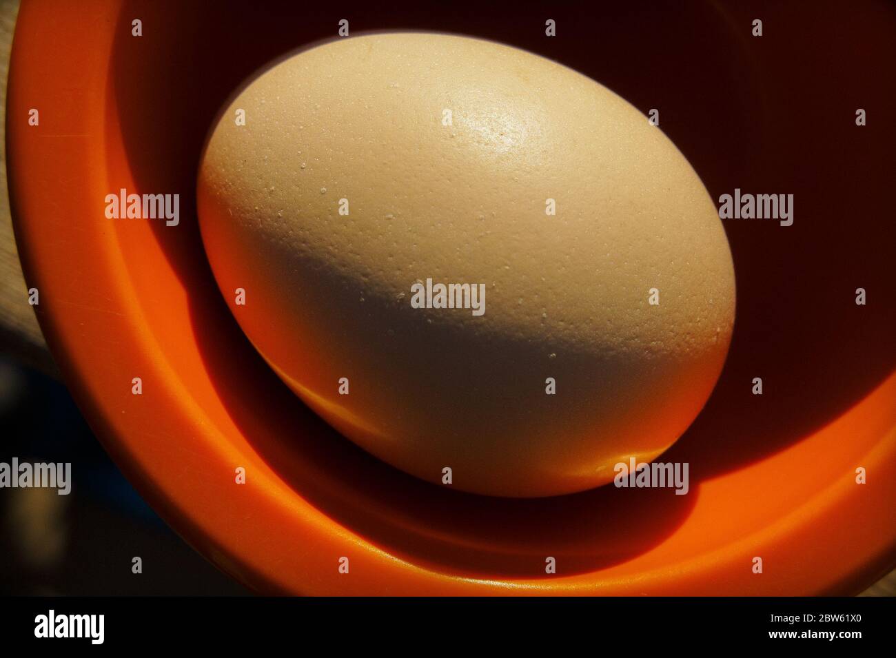 Single Brown Chicken Egg Resting Orange Bowl Stock Photo