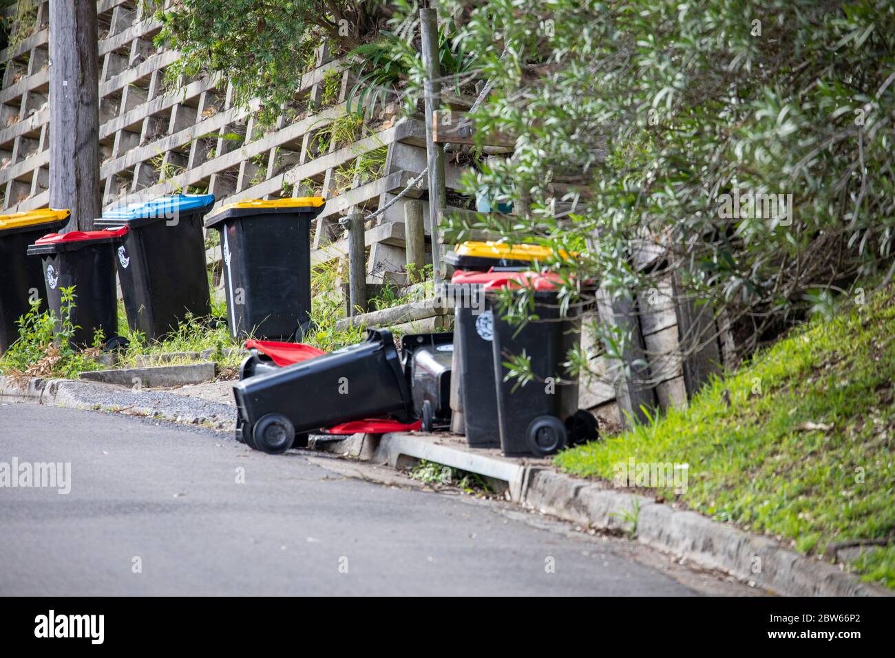 Wheelie bins on a Sydney street after being emptied by council garbage