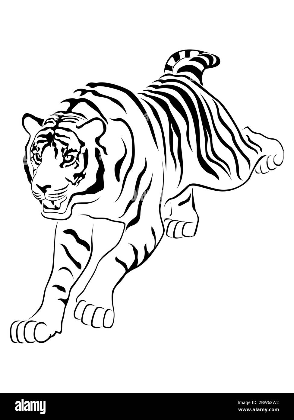 Aggressive large tiger on the hunting, hand drawing vector outline isolated on a white background Stock Vector