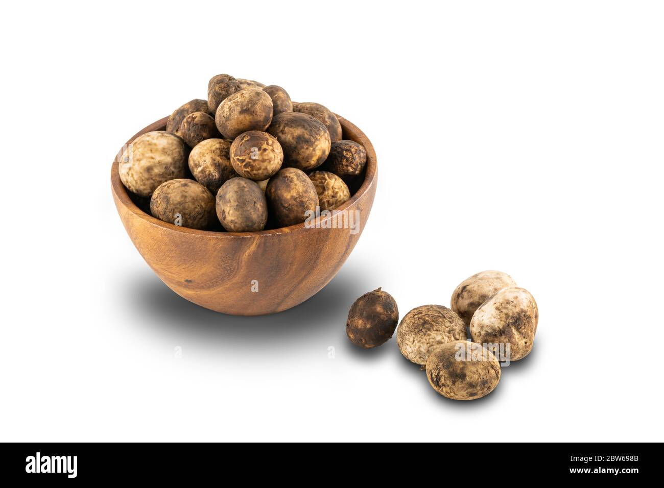 Mushroom Hygroscopic earthstar or False earthstar or Barometer earthstar in a wooden bowl on white background with clipping path. Stock Photo