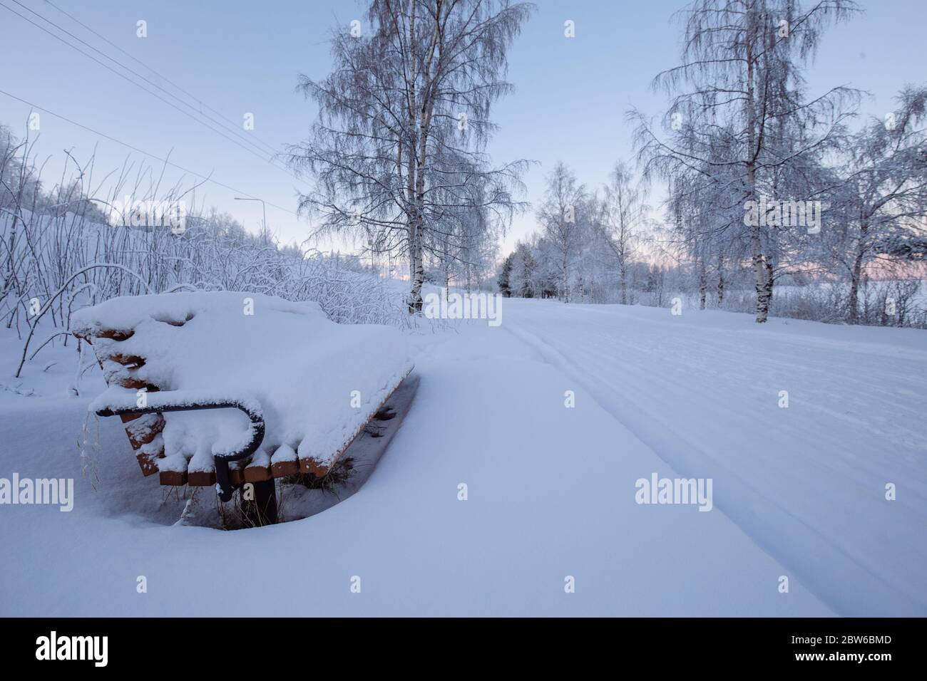 Cold snowy day in Finnish Lapland Stock Photo Alamy