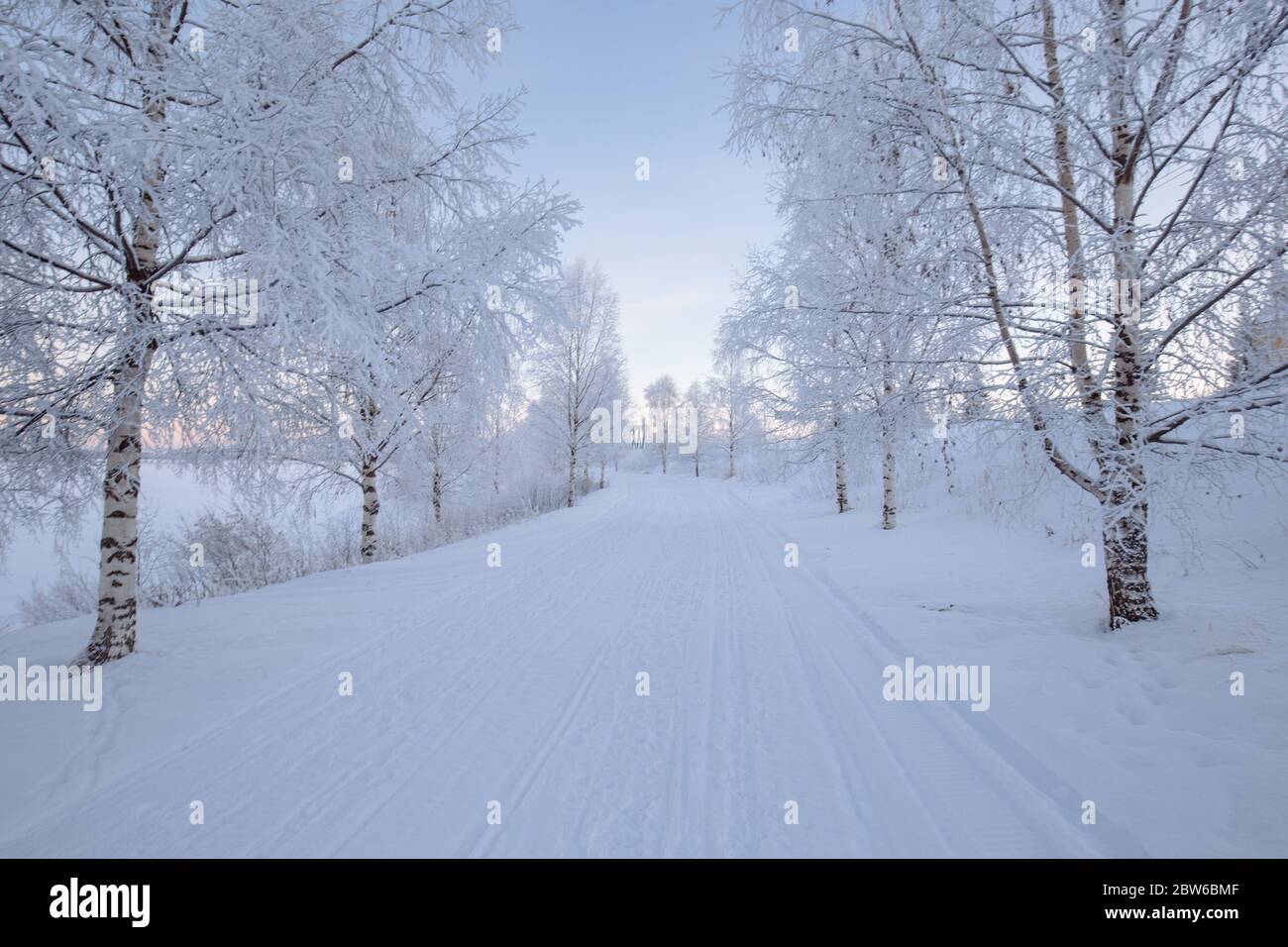 Cold snowy day in Finnish Lapland Stock Photo Alamy