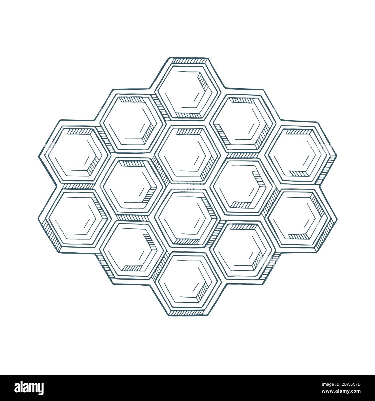 cells. hand drawn vector illustration.