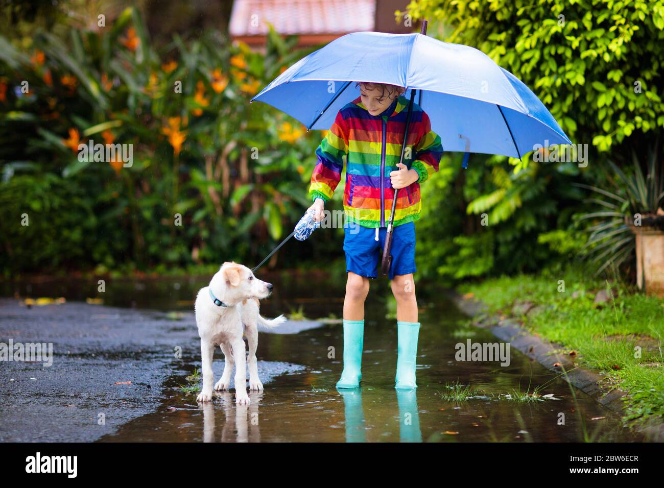 Kid and dog playing in the rain in autumn park. Child walking puppy