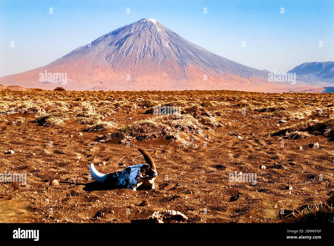 View of Ol Doinyo Lengai stratovolcano with an animal skull in foreground Stock Photo