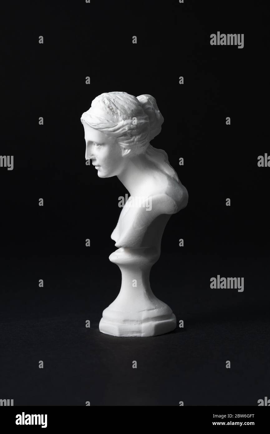 Venus Anatomy High Resolution Stock Photography and Images - Alamy