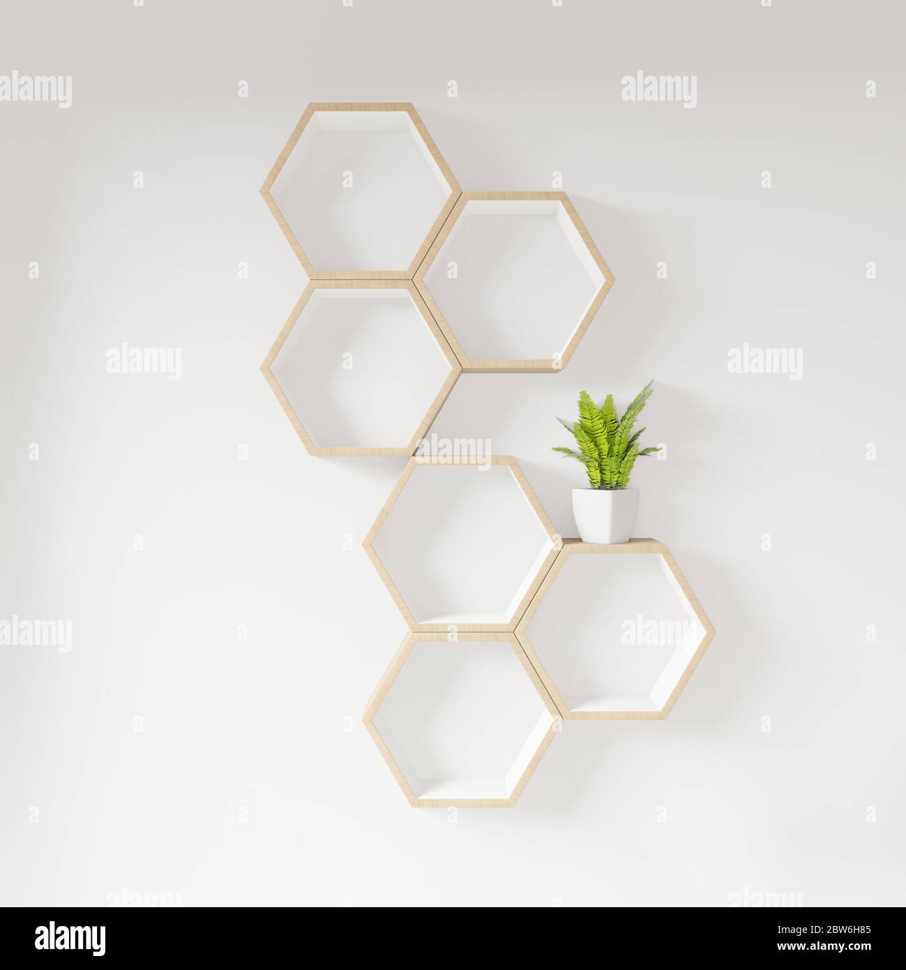 Hexagon shelf books and plant decoration interior design. Longitudinal