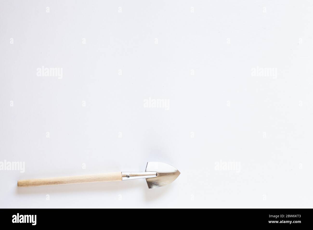 Gardening at home. Growing food on windowsill. Tools for seedlings. frame for text, top view. Flatlay on white wooden background. small household shov Stock Photo