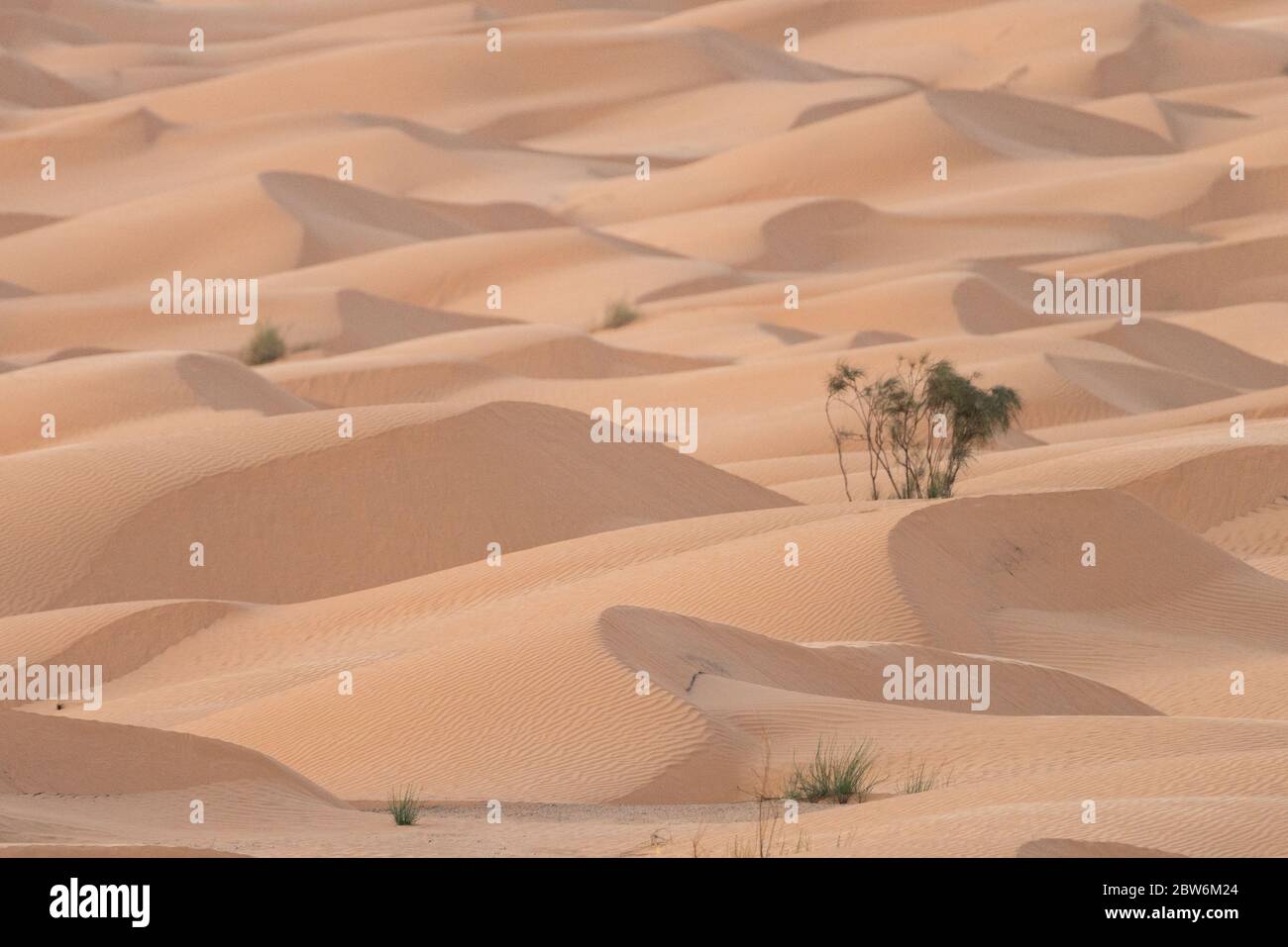 View of the Desert in Tunisia Stock Photo