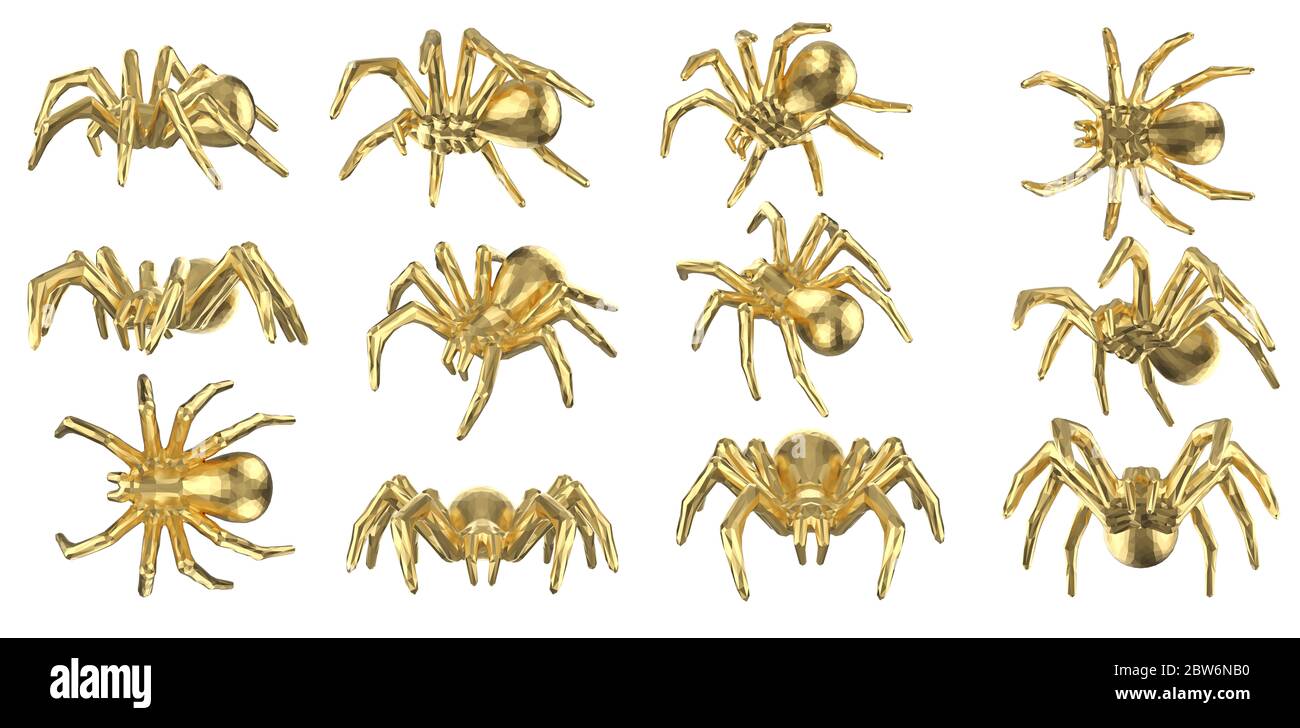 39 Spider Time Lapse Images, Stock Photos, 3D objects, & Vectors