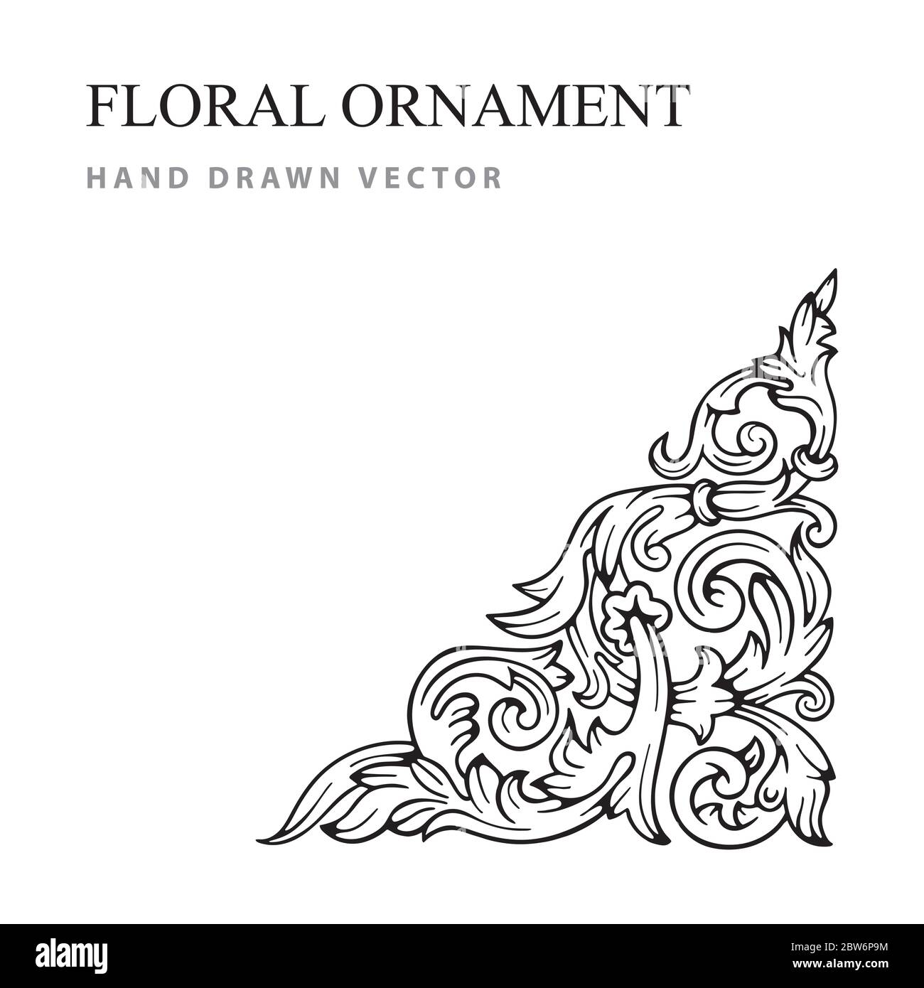 Floral ornament. Hand drawn vintage floral ornament. Engraved style