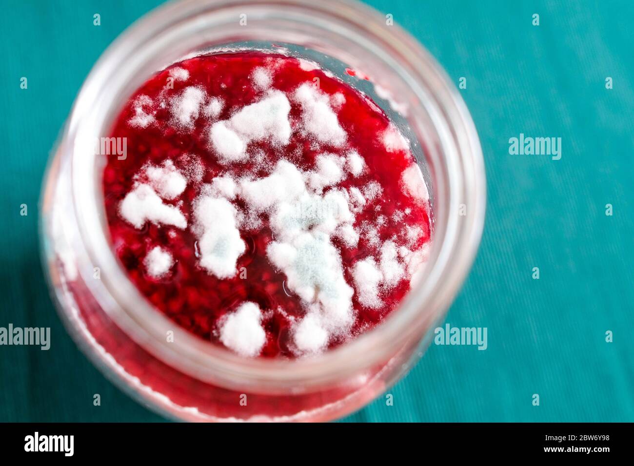 Mold on jam. Spoiled product. Green and white fungi Stock Photo Alamy