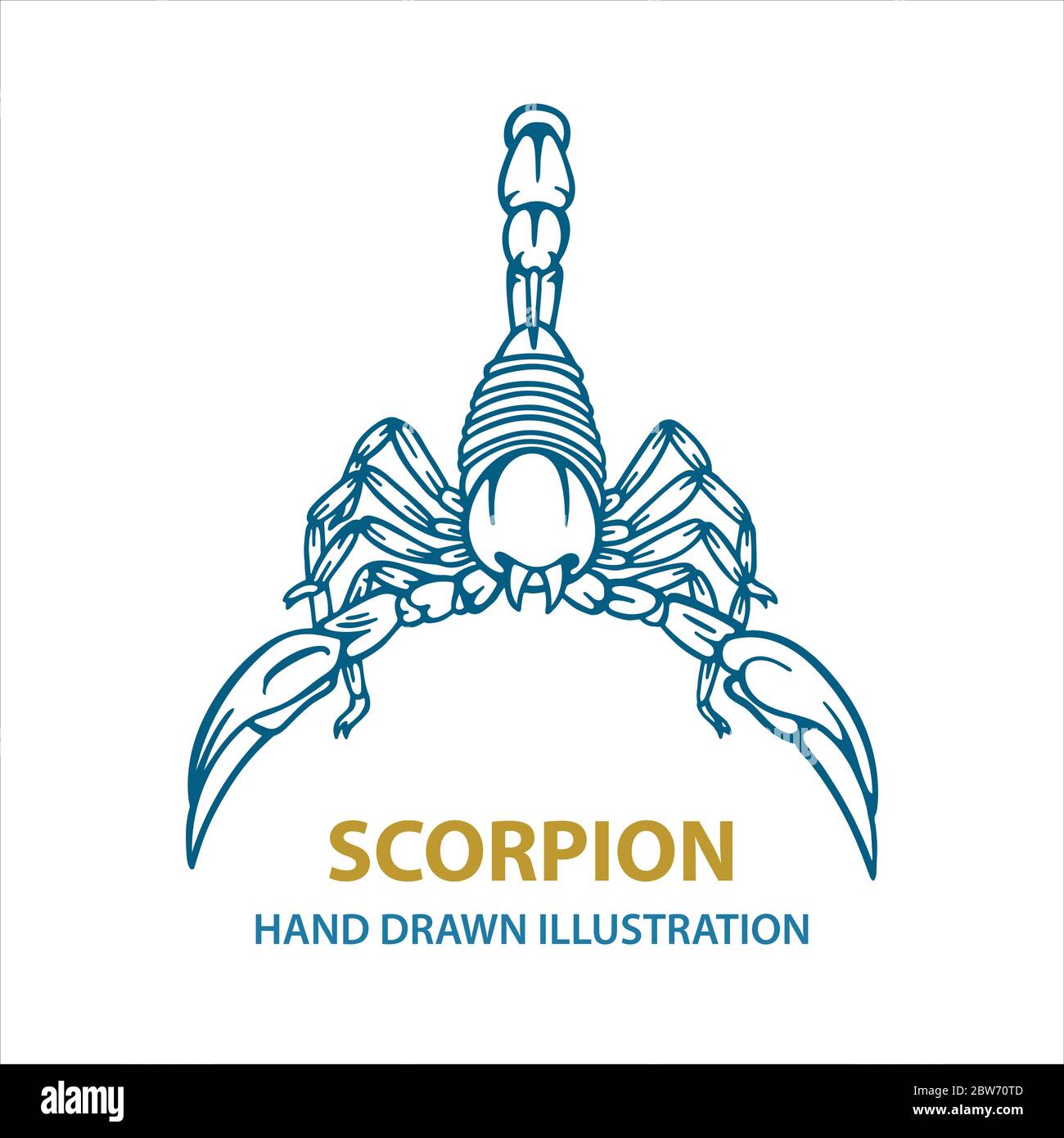 Scorpion. Hand drawn scorpion vector illustration.  Scorpion tattoo. Vector illustration. Part of set. Stock Vector