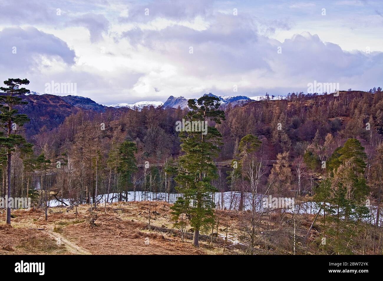 Howse Tarn Tarn hows views hi-res stock photography and images - Alamy