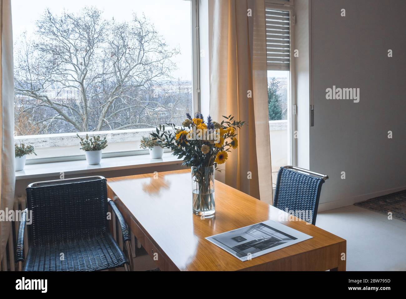 Villa Tugendhat, Brno Stock Photo