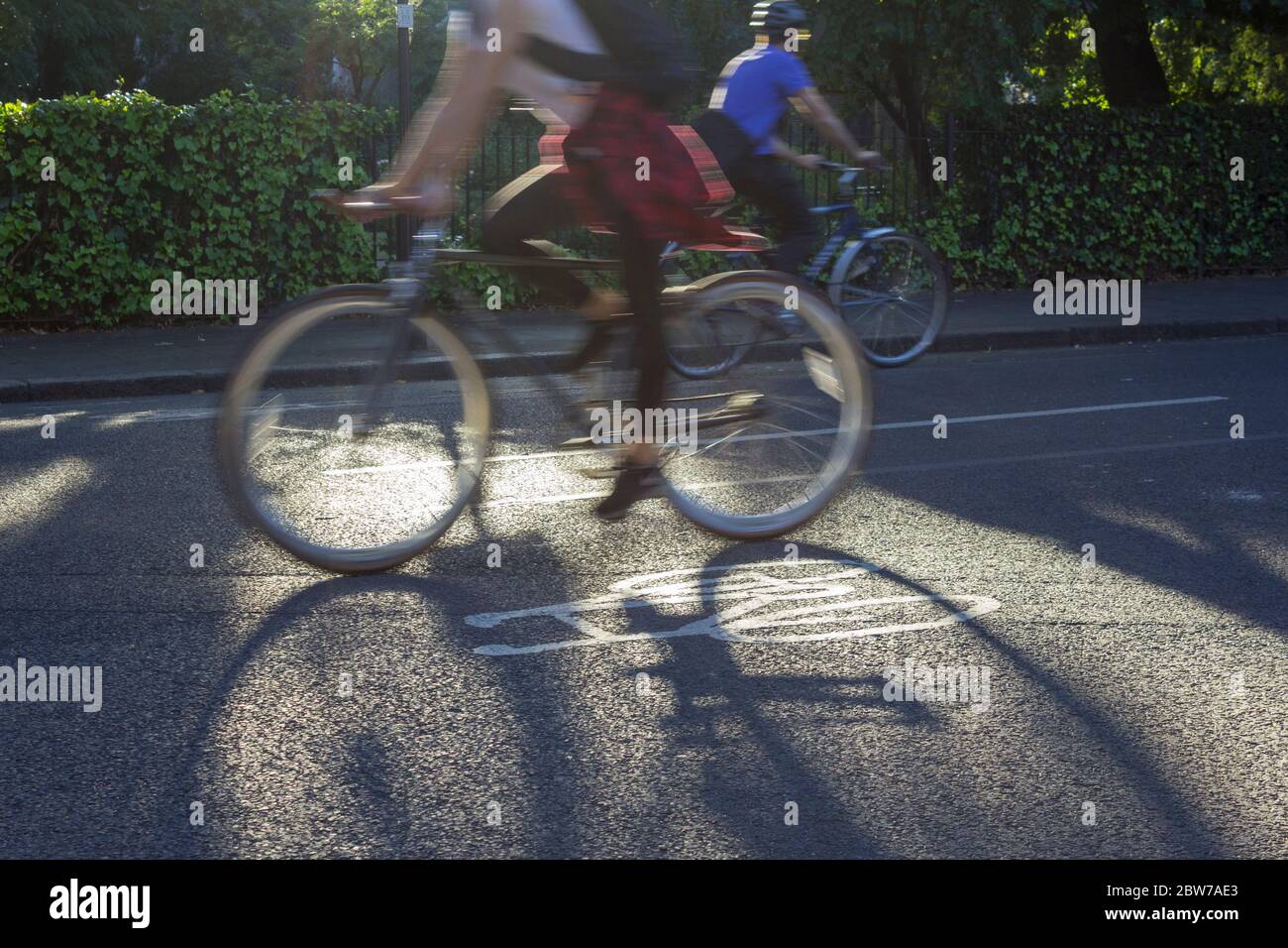 Two cyclists pass each other on a quiet cycle route marked by the bicycle stencil on the road. It is evening and the cyclists cast long shadows. Stock Photo