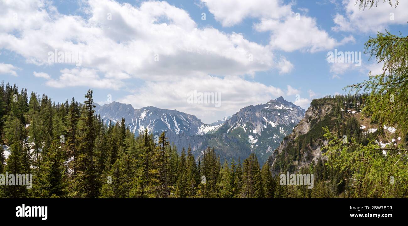 Scenic view of forest and mountain against sky Stock Photo