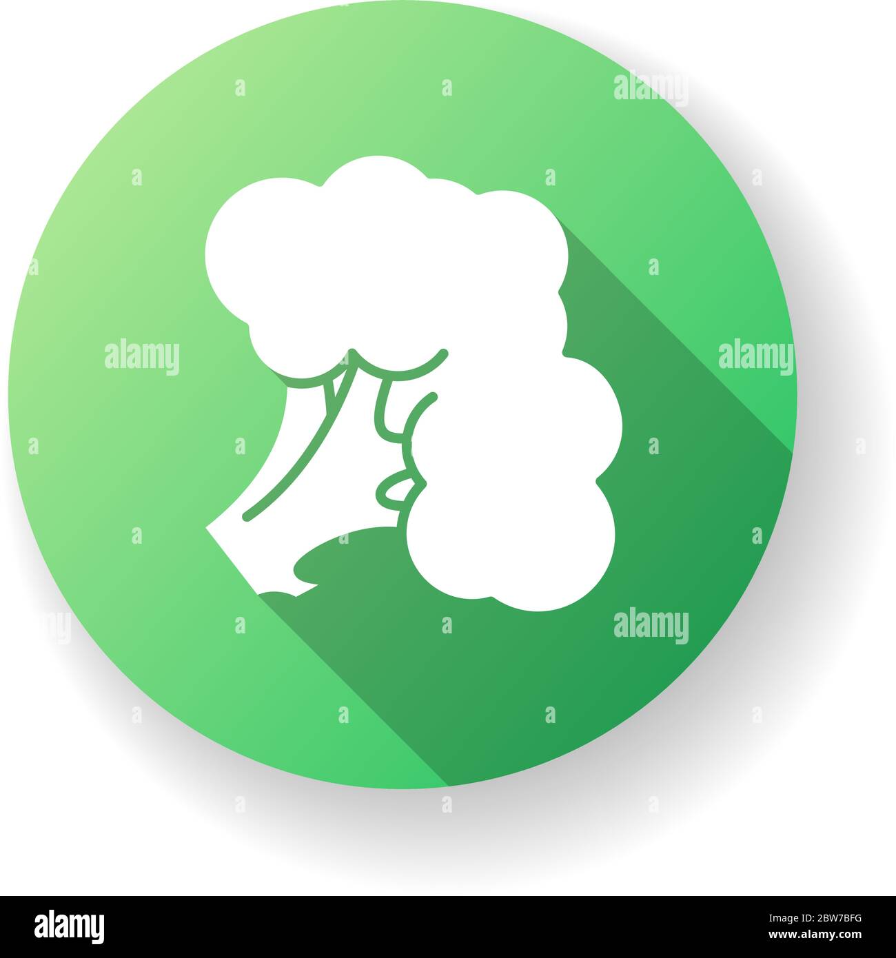Broccoli green flat design long shadow glyph icon Stock Vector Image ...