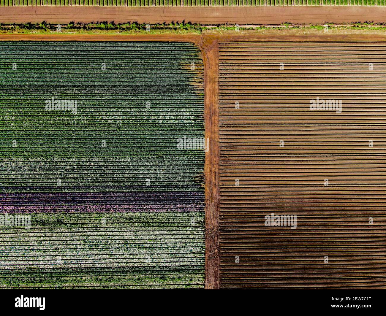 Aerial photography view of Werribee South fertile farm farmland fields with colourful crops near Werribee River Stock Photo