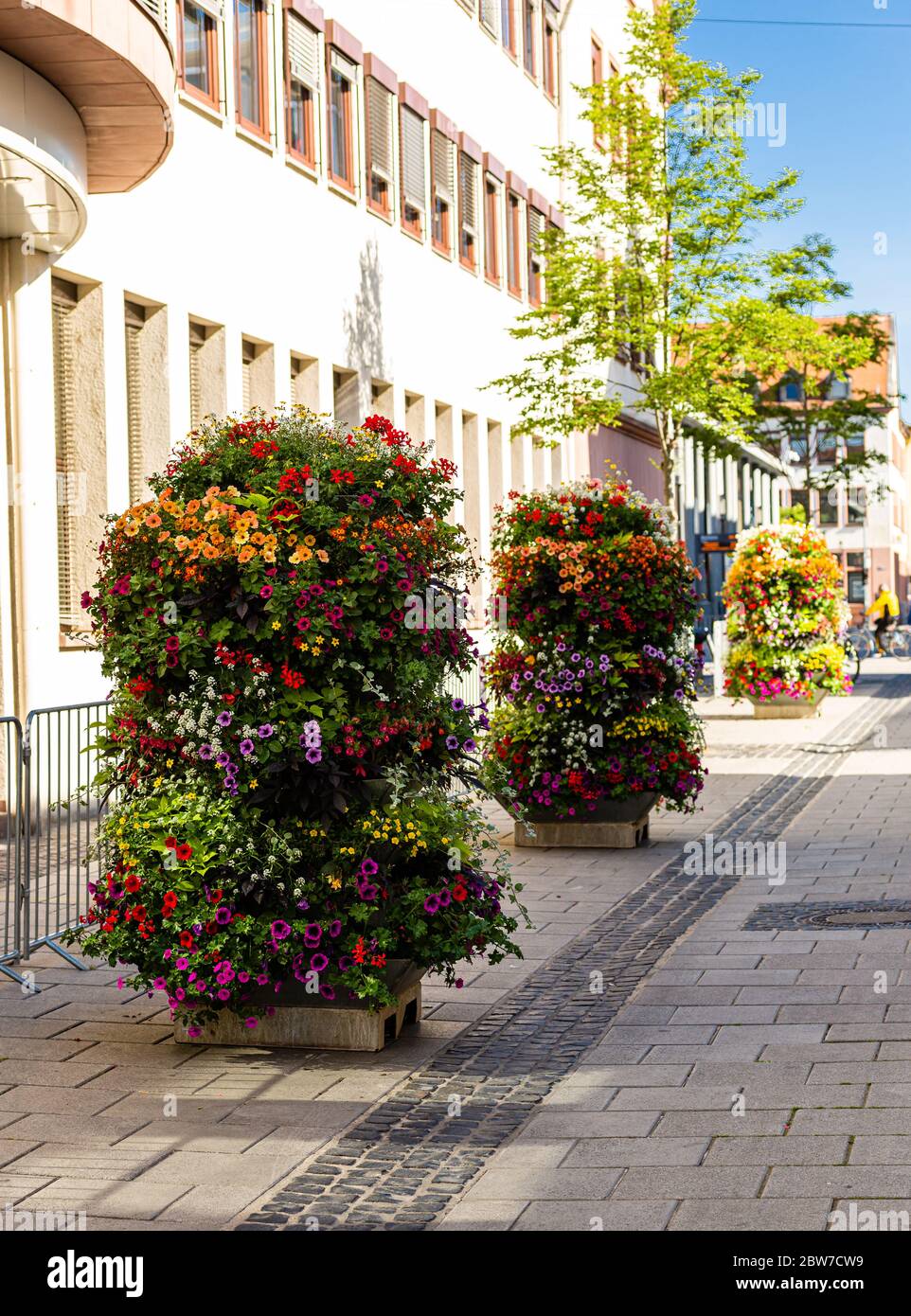 Beautiful flower beds. Colorful flowers. Street decoration. Urban architecture. Stock Photo
