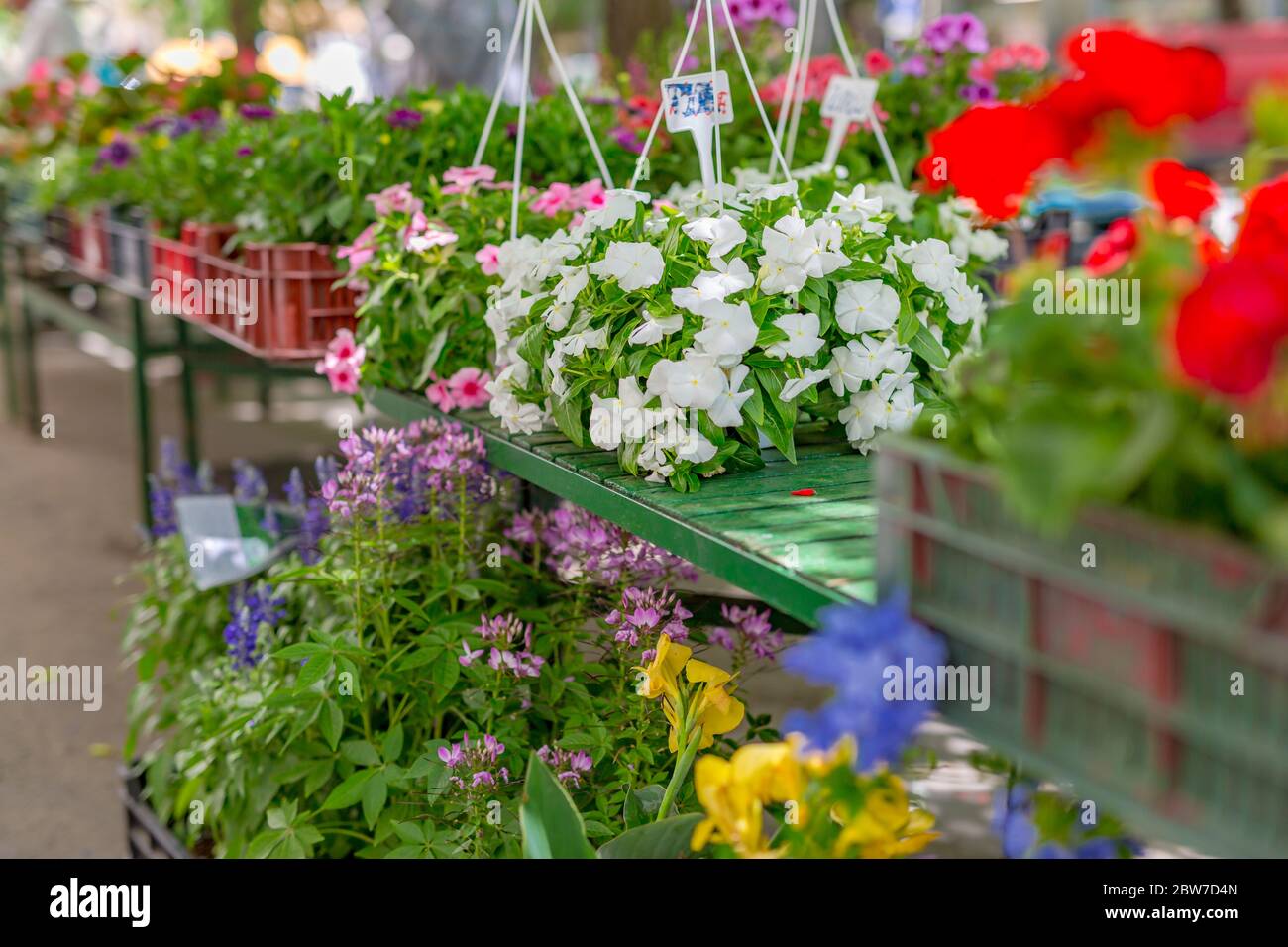 Bouquets of various flowers on the street flower market, holiday gifts, International Women's Day Stock Photo