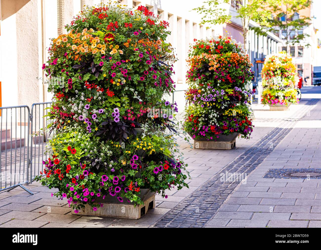 Beautiful flower beds. Colorful flowers. Street decoration. Urban architecture. Stock Photo