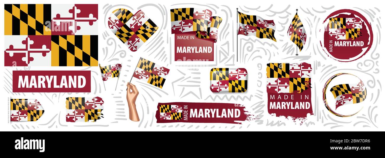 Vector set of flags of the American state of Maryland in different ...