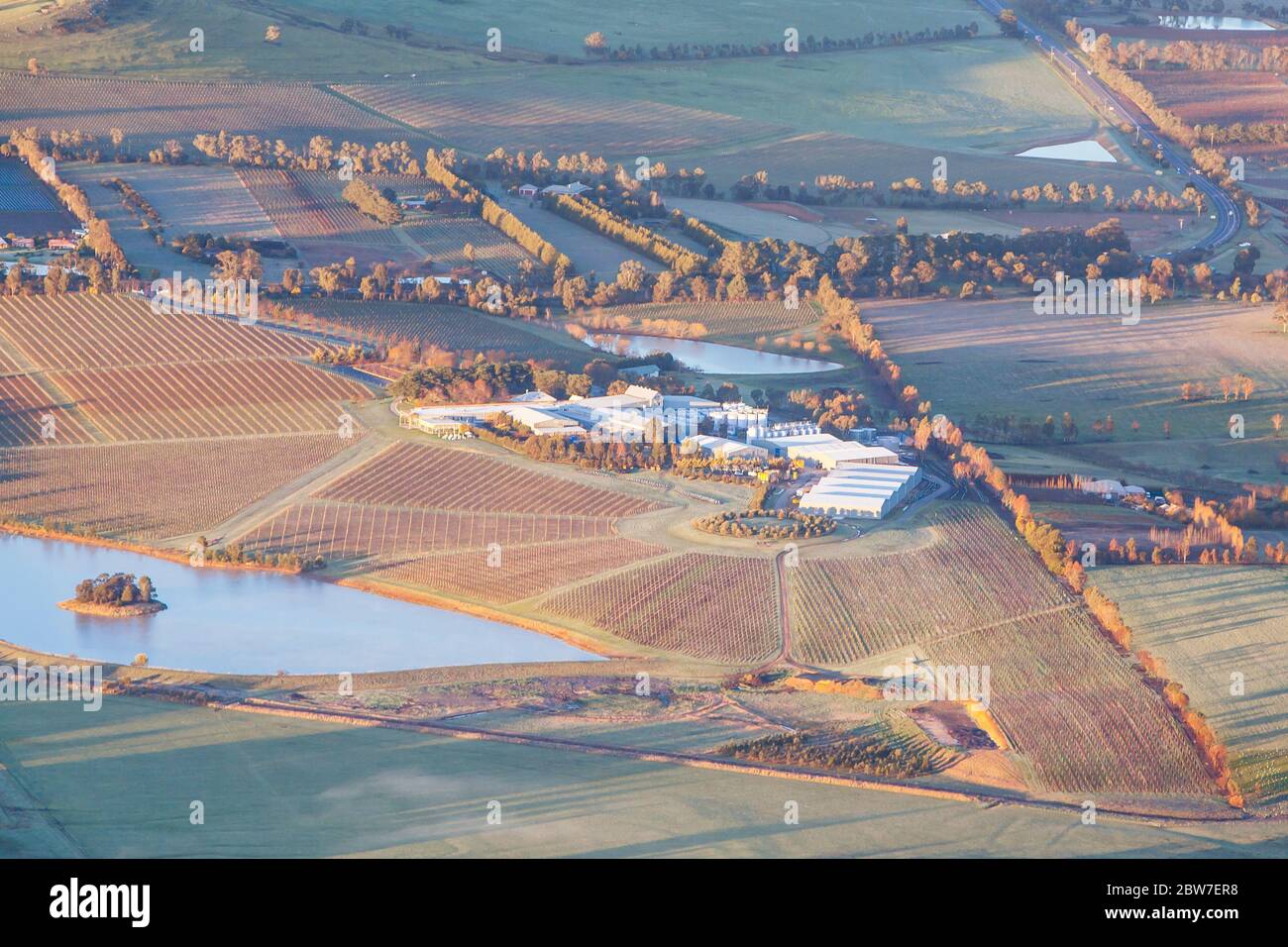 Aerial View of a Vineyard in Australia Stock Photo