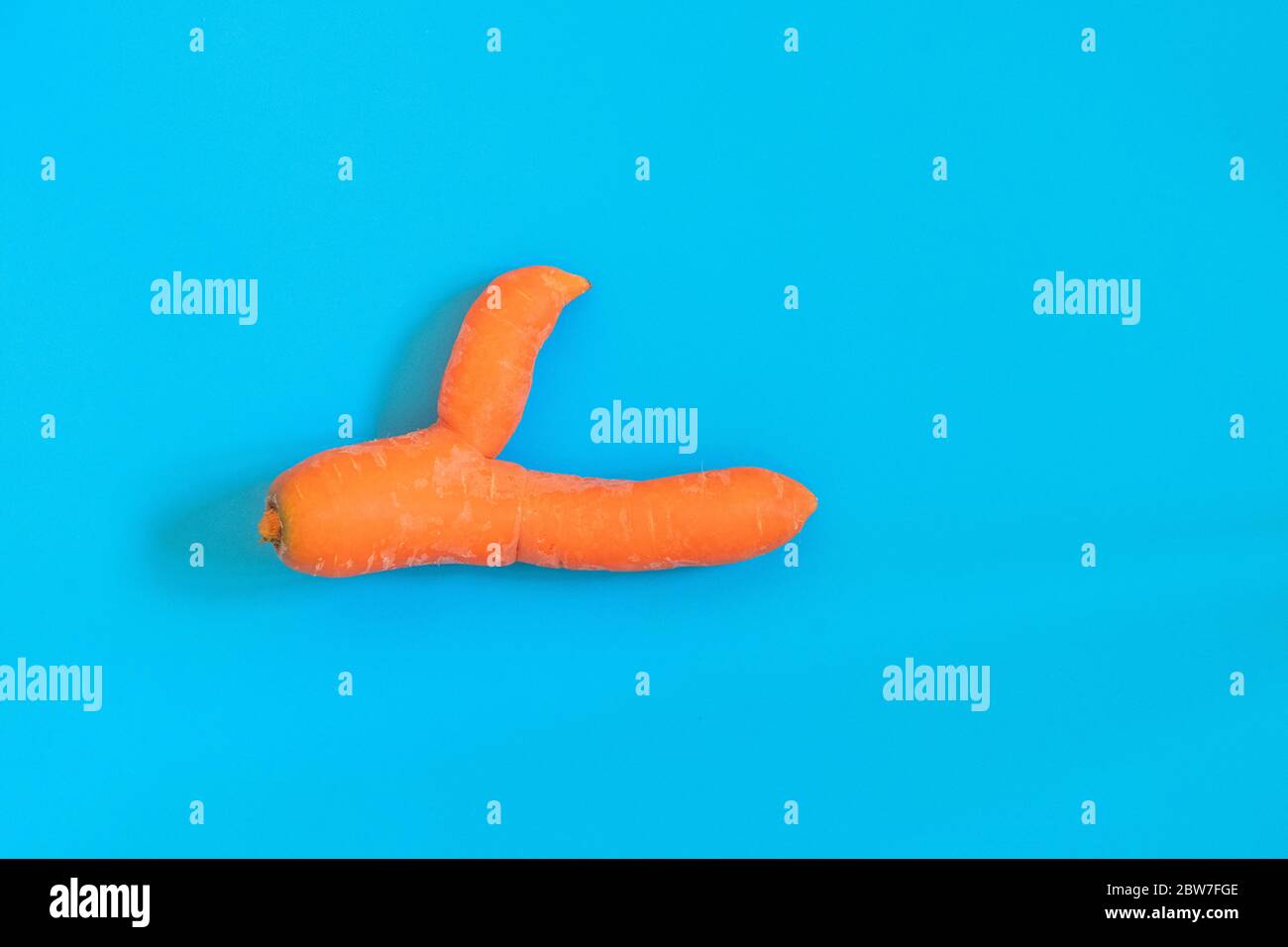 Ugly carrot on blue background shows thumbs up in support of food waste reduce trend. Image with copy space, top view Stock Photo
