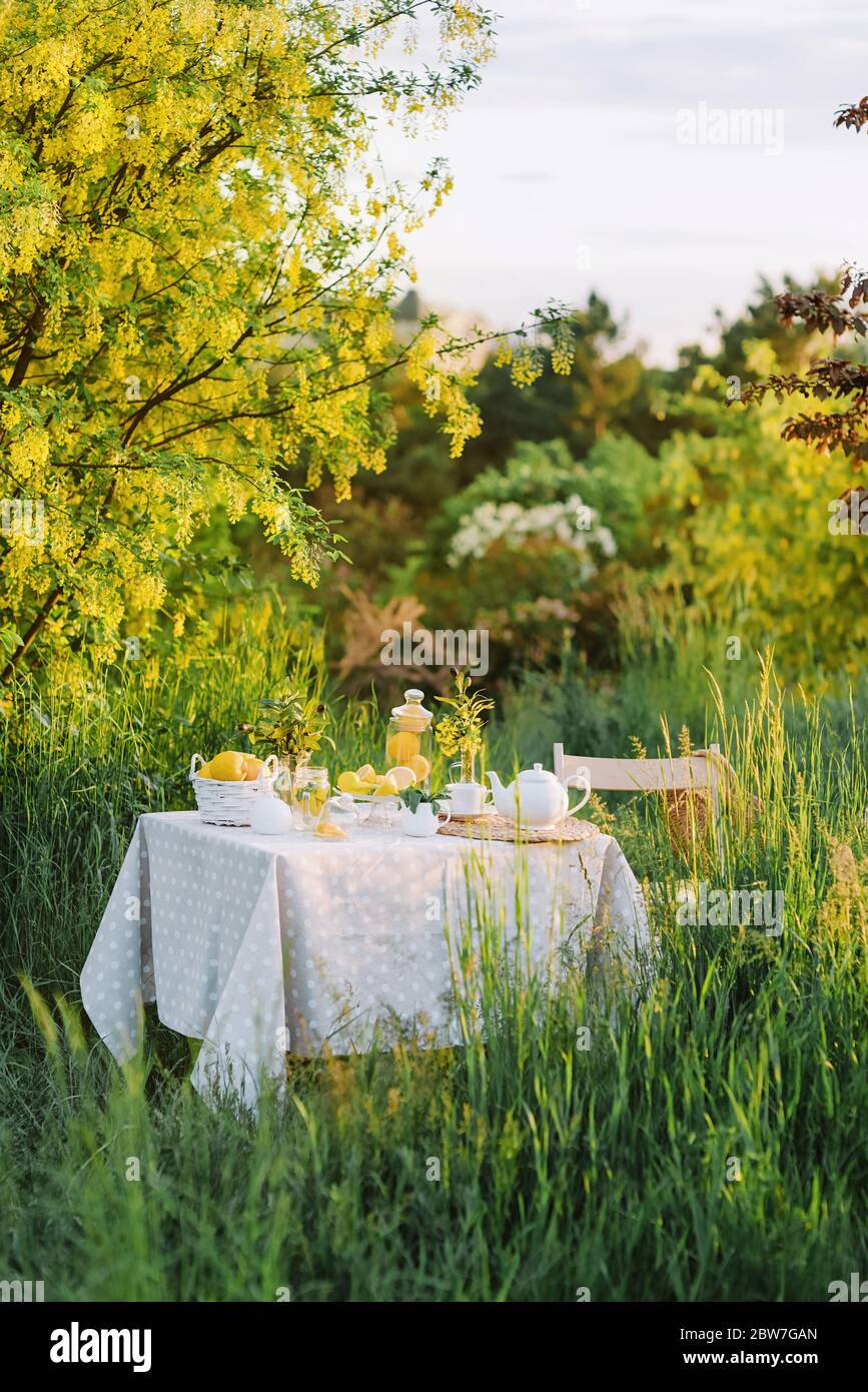 Picnic outdoors. Preparations for the picnic. Garden decoration Stock