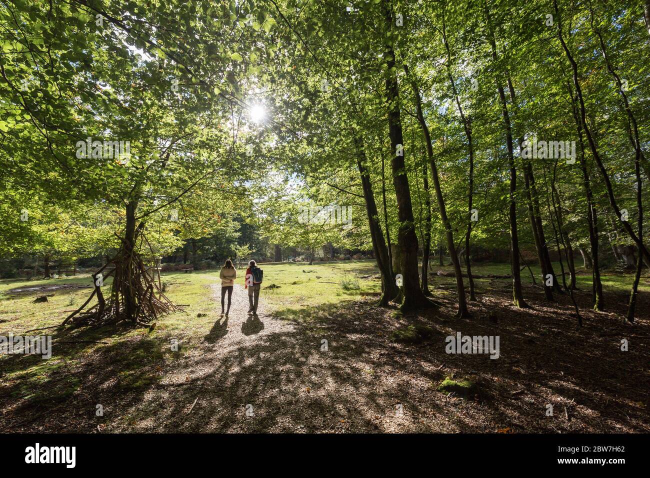 Two people walking through the New Forest, Hampshire, UK Stock Photo