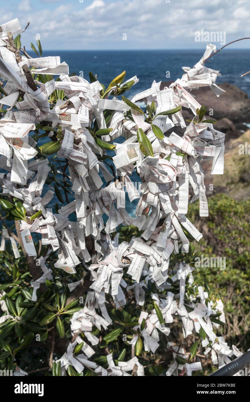 Paper prayers tied to tree, Motonosumi Shrine, Nagato, Japan Stock Photo
