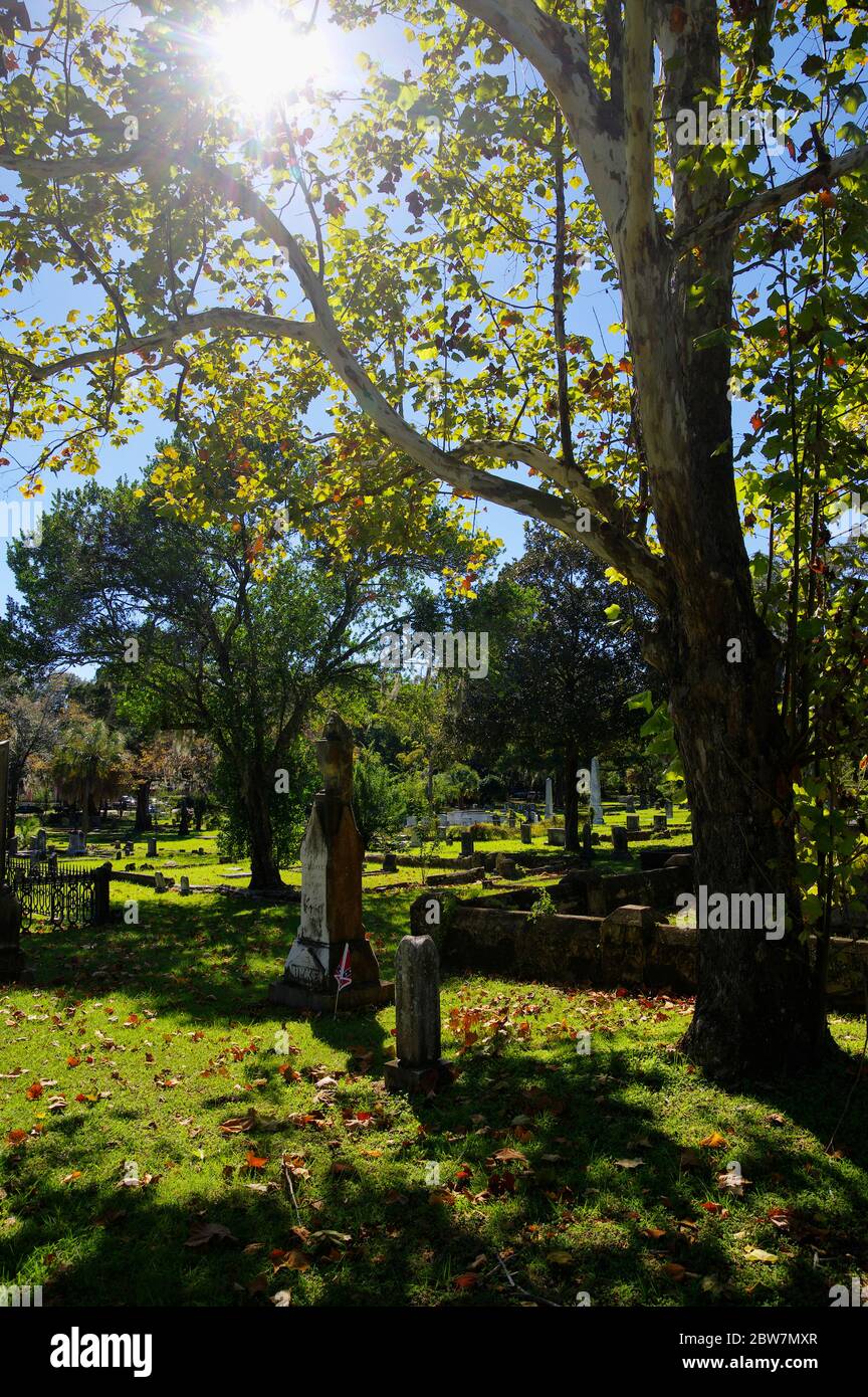 Tallahassee, FL, USA - October 24, 2017:  The Tallahassee Old City Cemetery is the oldest burial ground in the city, established in 1829by the Florida Stock Photo