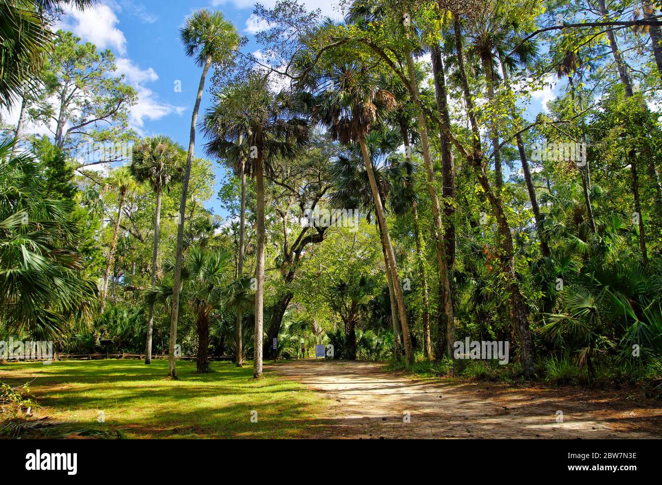 The recreation area in the Ocala - The Recreation Area In The Ocala National Forest Located In Juniper Springs Florida 2BW7N3E 