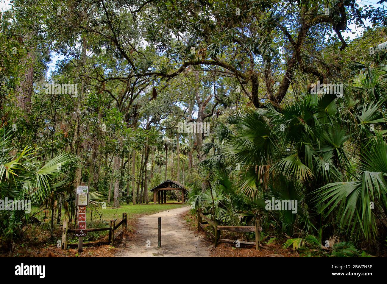 The recreation area in the Ocala - The Recreation Area In The Ocala National Forest Located In Juniper Springs Florida 2BW7N3P 