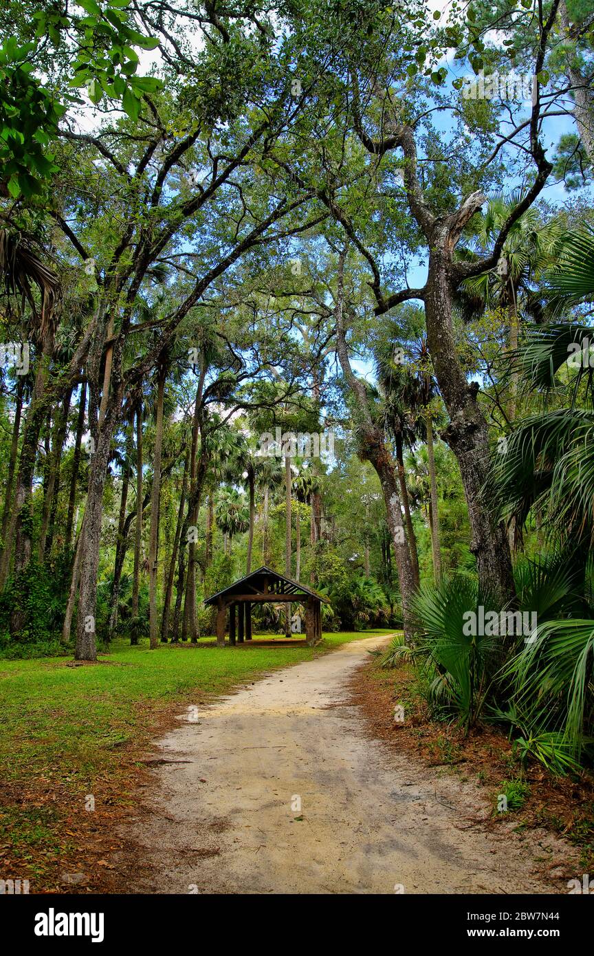 The recreation area in the Ocala - The Recreation Area In The Ocala National Forest Located In Juniper Springs Florida 2BW7N44 