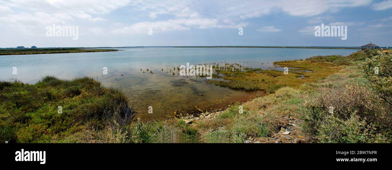 Landscape of the Las Marismas Del Odiel - the natural area where wild  flamingos flock occur for whole year, Andalucia, Spain Stock Photo - Alamy