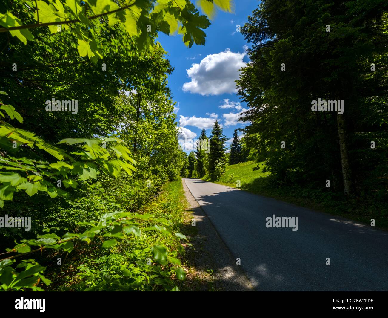 Countryside countryroad sunshine with numerous Spring clouds Lokve in Croatia Europe Stock Photo