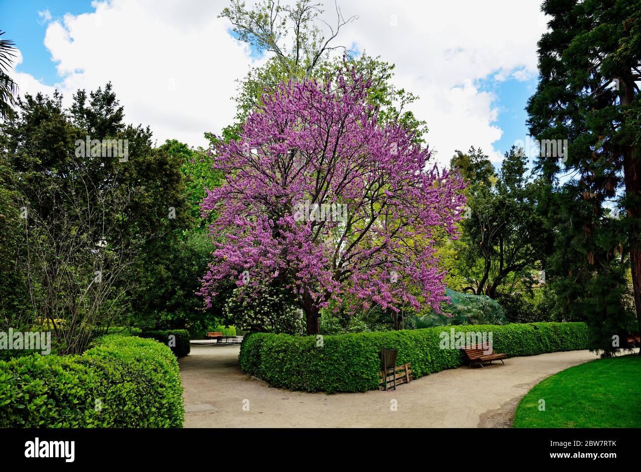 The Royal Botanical Gardens in Madrid, Spain, Europe Stock Photo