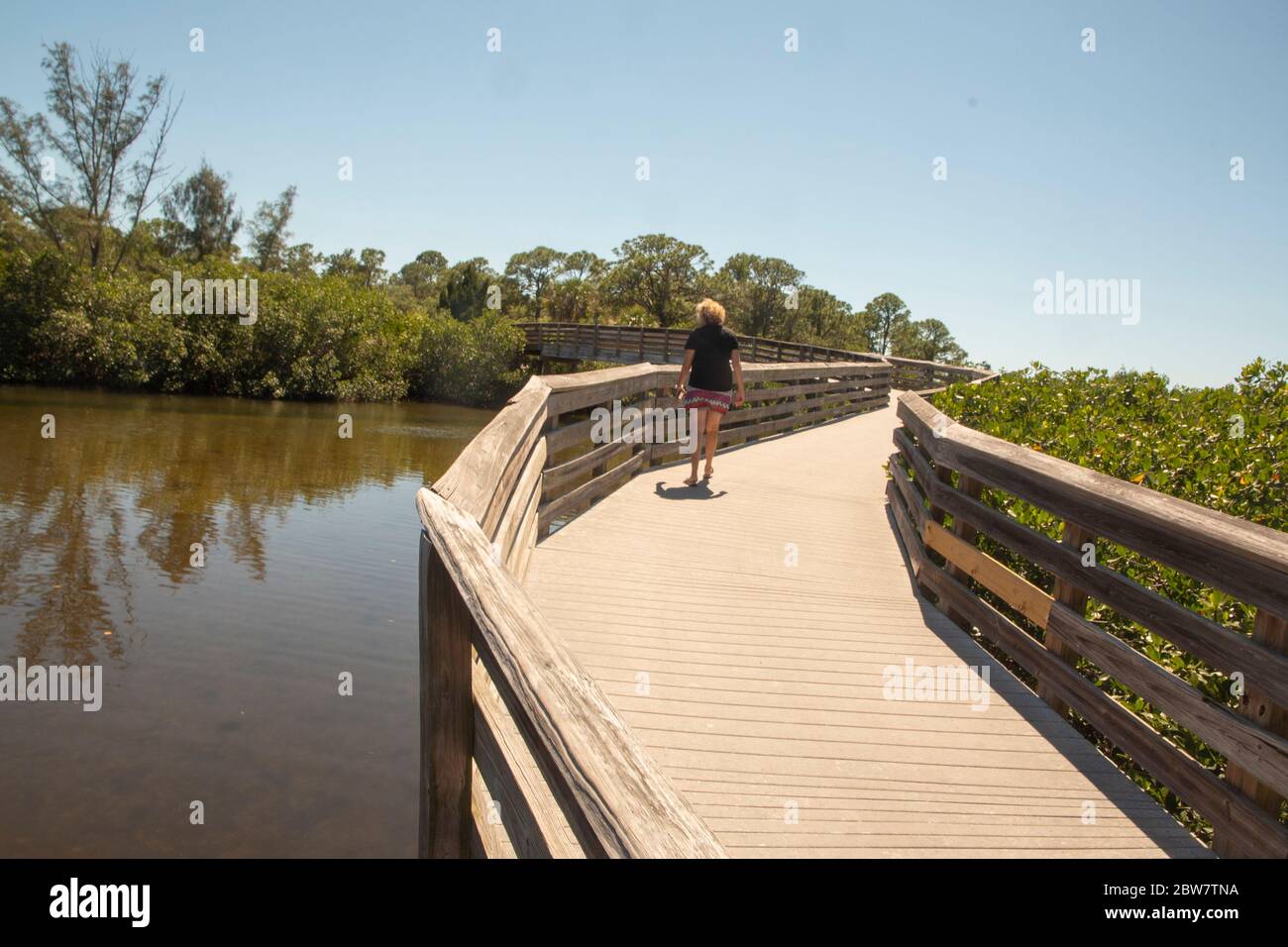 A woman makes her way on a board walk by Oyster Creek in Englewood
