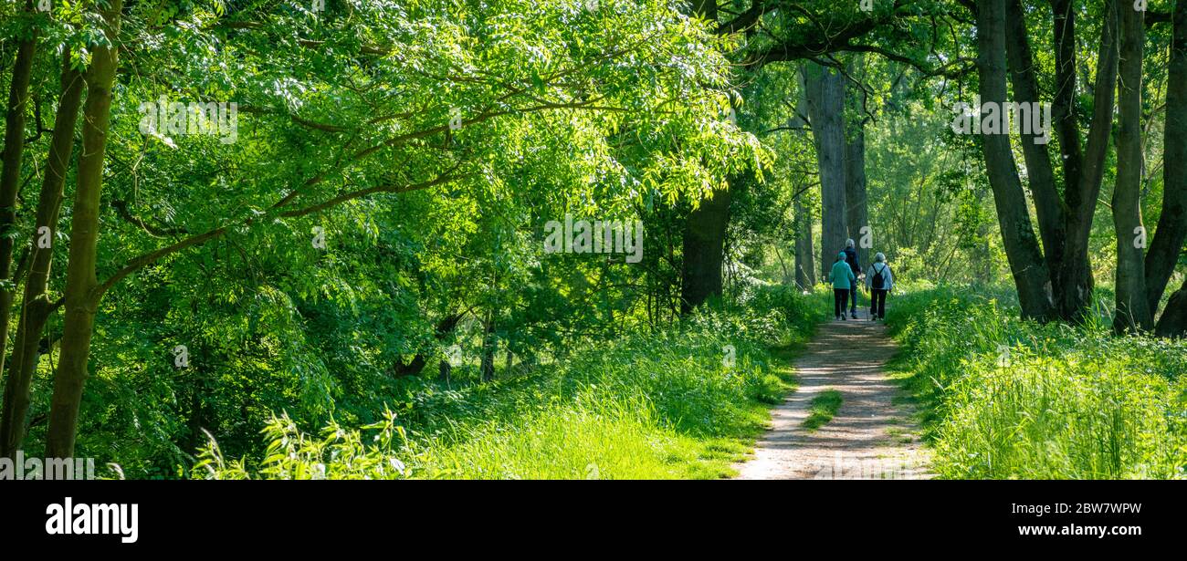 Germany,  North Rhine-Westphalia , Sieg, Tourists walking through the mead of river Sieg on a sunny summer day Stock Photo