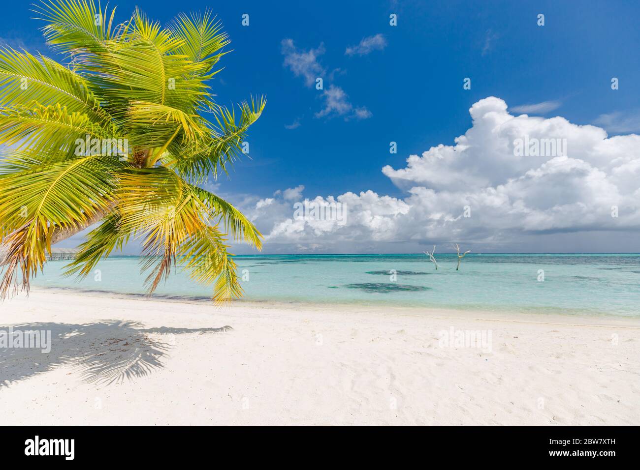 Ocean landscape tropical beach hi-res stock photography and images - Alamy