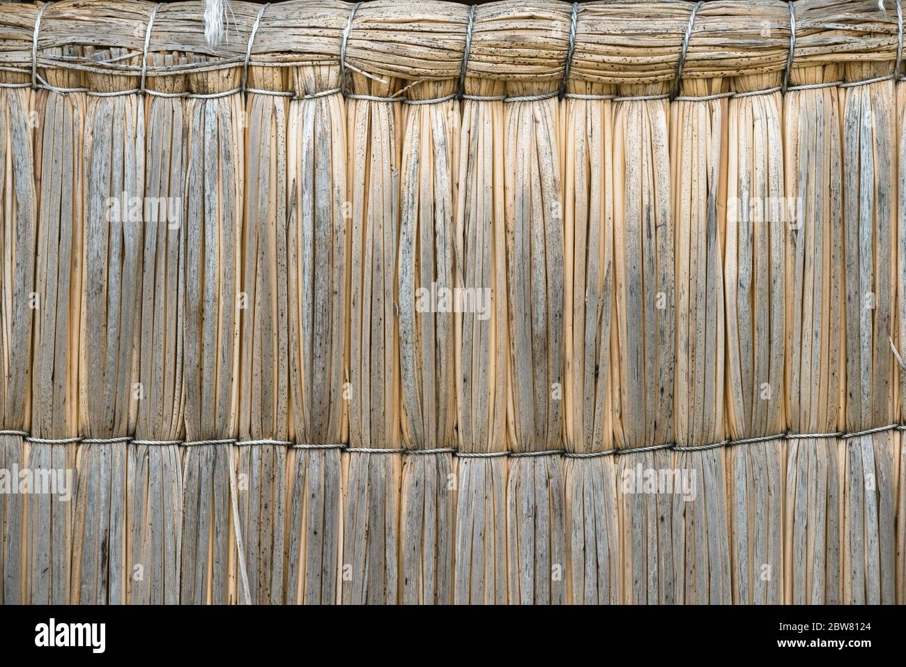 reed wall fragment of traditional hut from floating Uros islands of ...
