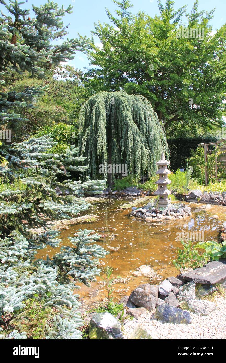 50 ponds in her garden hires stock photography and images Alamy
